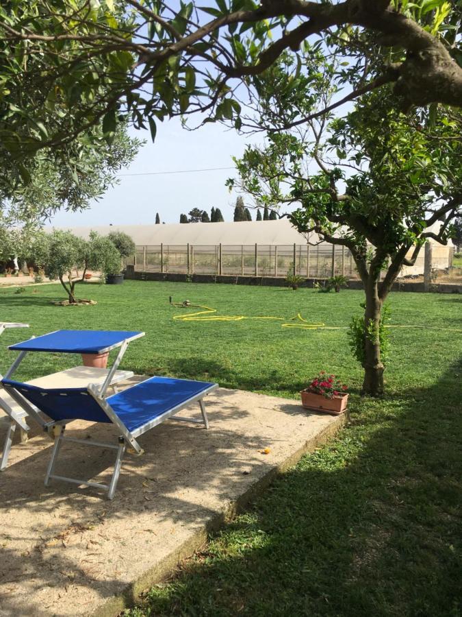Villa Daniele Borgo Montenero Εξωτερικό φωτογραφία